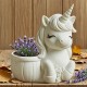 YY5982 Unicorn Mum Saksı Silikon Kalıp